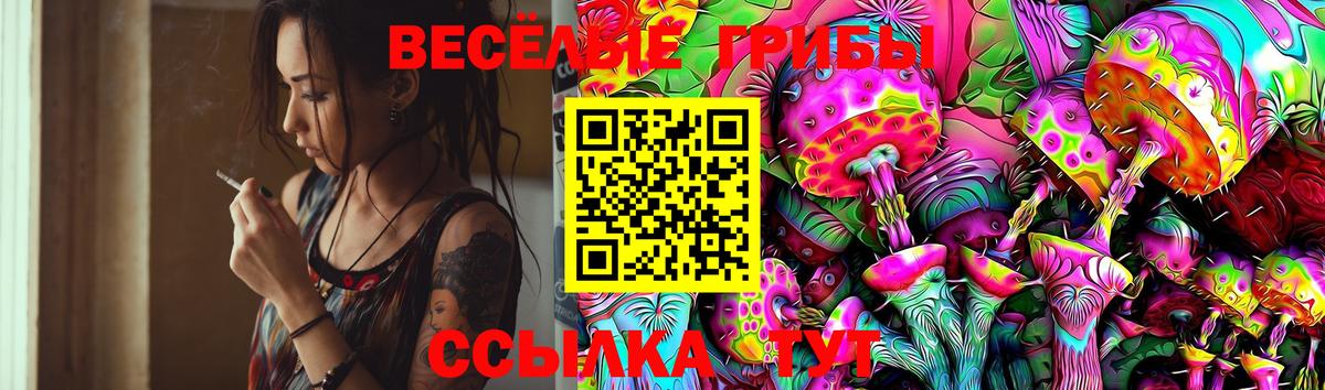 Междуреченск  Псилоцибиновые грибы GOLDEN TEACHER  Вход с VPN 